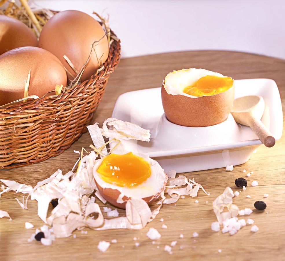 Pension Aloisia 쉐파우암윌던카이저 외부 사진